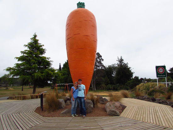 Riesenmöhre am Ortseingang von Ohakune.