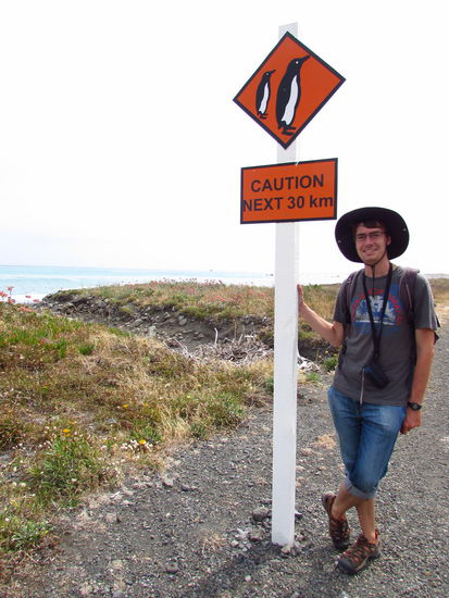 Wir haben aufgepasst, aber leider keine Pinguine gesehen... Vielleicht klappt's ja auf der Südinsel!