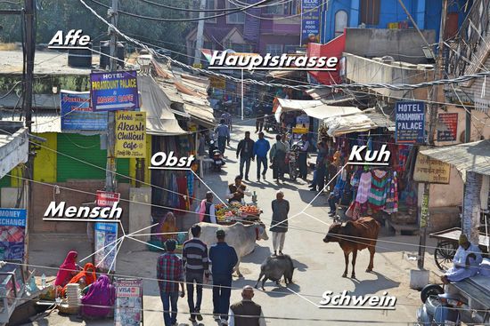 Hier mal ein kleiner Einblick nach Pushkar, was bei uns eher partiell abläuft, ist hier in einem Bild am Nachmittag vereint 