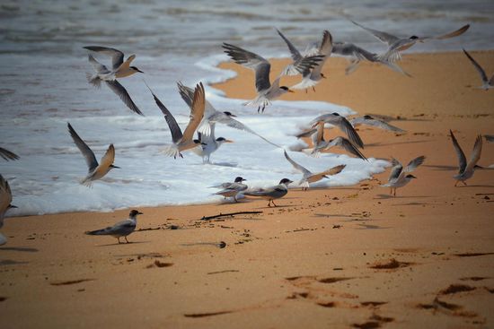 Man war fast alleine!