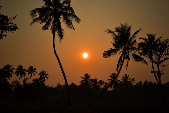 Sonnenuntergang in den Backwaters