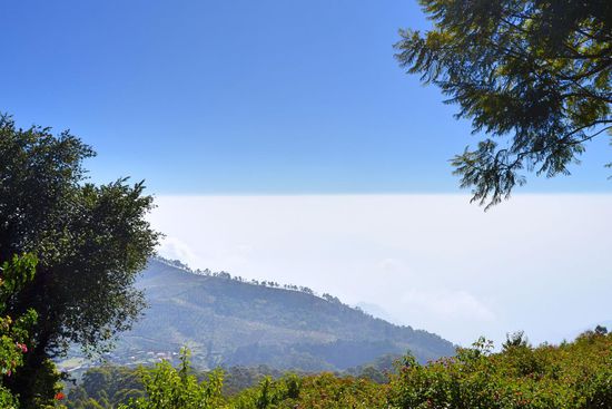 Über dem Dunst in 1300 Meter Höhe