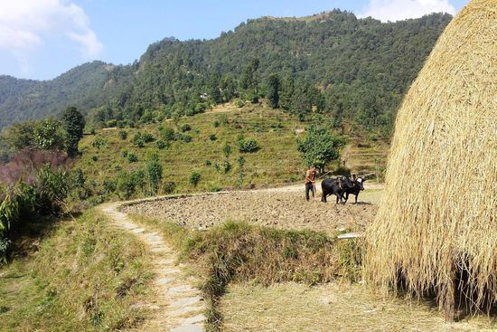 Ja, hier wird das Feld noch anders bestellt.