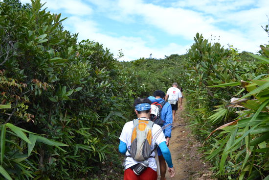 King of the Hilles Race