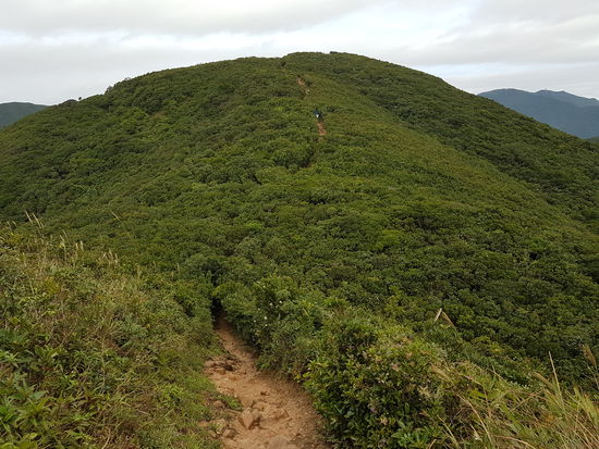 Schlängeln geht es die Bergkämme entlang.