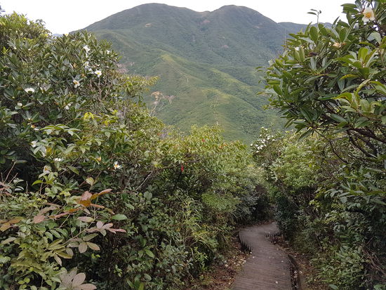 Man sieht in der Ferne den weiteren Verlauf.