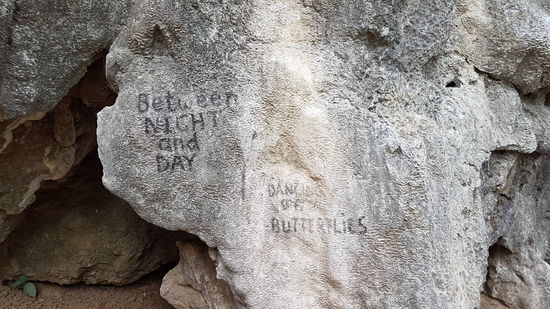 Dancing like Butterfly 5c+