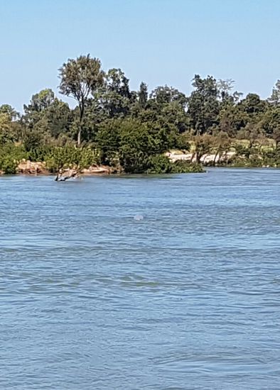 Leider nur etwas sehr entfernt