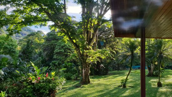 Sehr schön gelegen und traumhafter Garten in der La Purruja Lodge