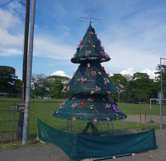 Ein Weihnachtsbaum der besonderen Art 