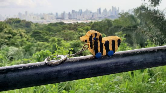 Eins der gefährlichsten Tiere hier in der Umgebung, die Tigerente