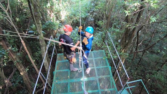 Noch etwas verunsichert und mit....