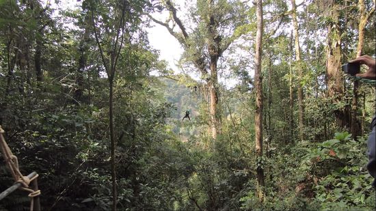 Da kommt sie geflogen!