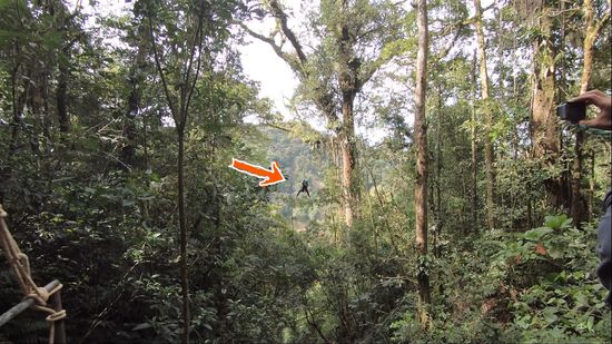 ...und schwingt und...