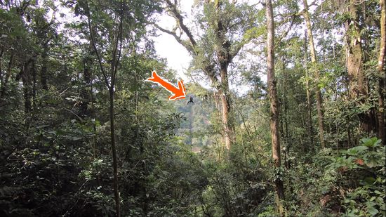 ....schwingt und schwingt...