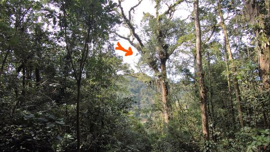 ...und schwingt, ich dachte schon sie kommt gar nicht mehr zurück