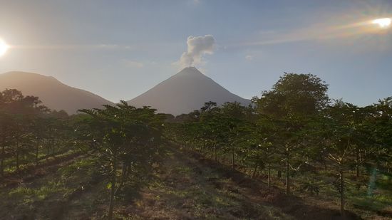 Aus allen Himmelsrichtungen ein Traum