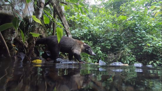 ....nix da! Dann weiter