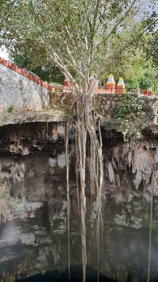 Der obere Rand des Cenoten