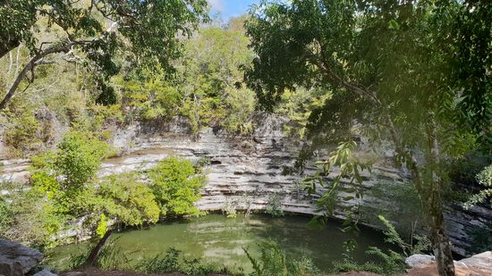 Ziemlich veralgte Cenote