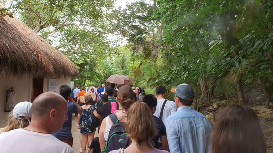 Die nicht endende Schlange