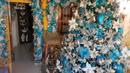 So soll mein Weihnachtsbaum auch nächstes Jahr aussehen