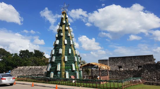Ein Relikt vom letzen Jahr