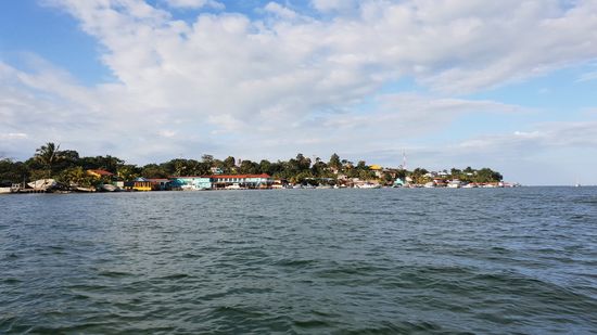 In der Ferne Livingston