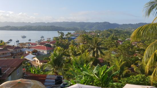 Aussicht vom Hotel...das ist Karibikflair.