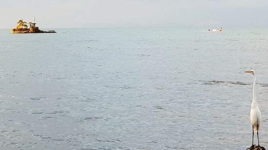 Inselchen mit Madonna