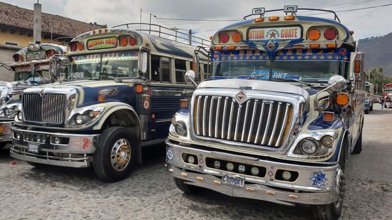 Chickenbusflotte, die Dinger ziehen aber die meisten Shuttelbusse ab, unglaublich was die einen Dampf unter der Haube haben.
