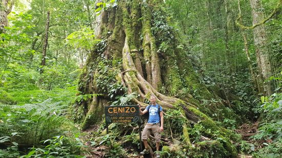 Gerade mal 1000 Jahre alt, da kann ich mit meinen 51 nicht mitreden.