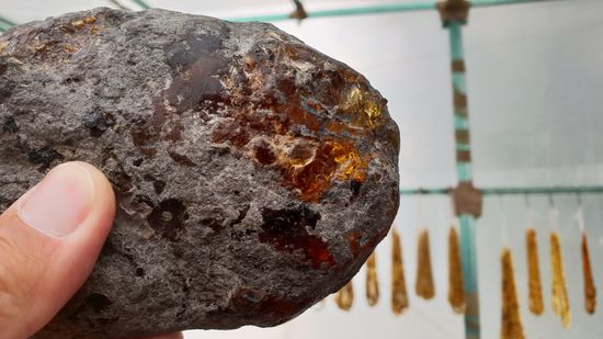 Bernstein in Rohform