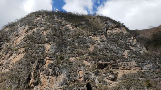 Die geraden Dinger da in der Wand sind Kakteen