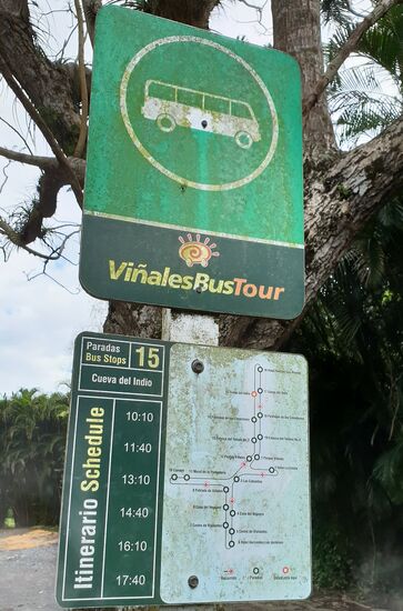 Shuttelbus Vinales (der ganze Tag für 4,70 €)