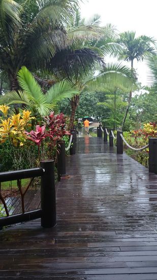 Auch im Paradies regnet es mal: Die wunderschöne Anlage des Resorts.