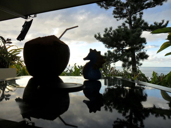 Stillleben auf Fidschi