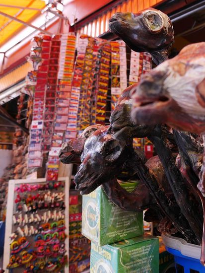 Getrocknete Lama-Embryos am Hexenmarkt