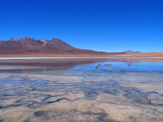 Laguna Cañapa
