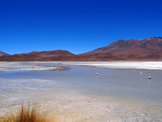 Laguna Hedionda