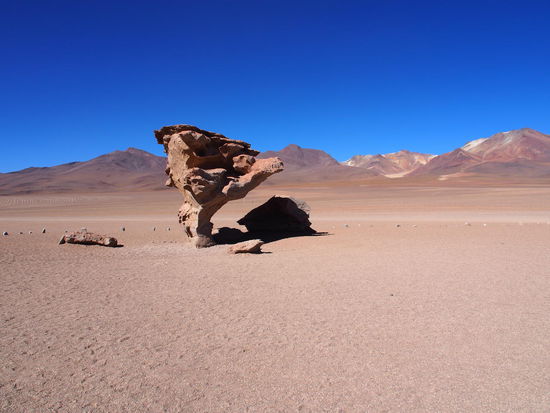 Árbol de Piedra in der Siloli Wüste