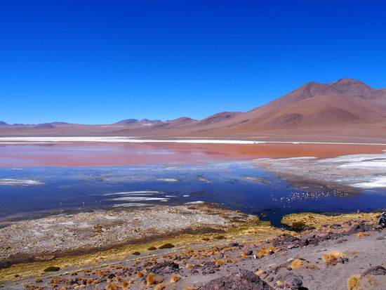 Aussichtspunkt an der Laguna Colorada