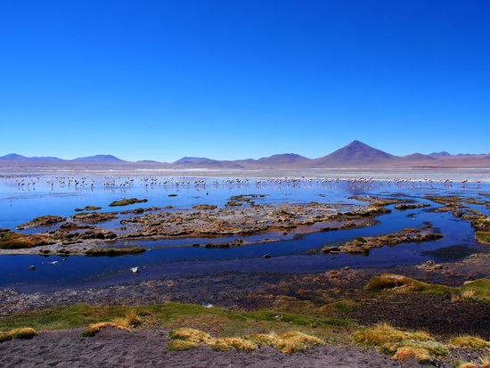 Laguna Colorada