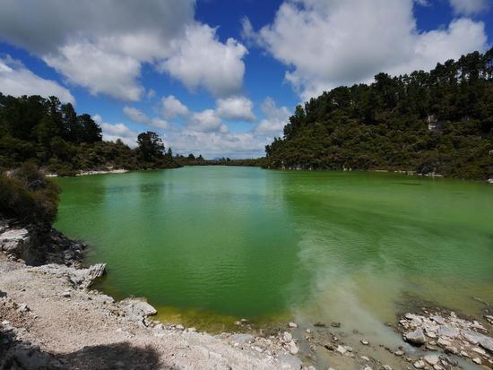 Geothermales Gebiet bei Rotorua