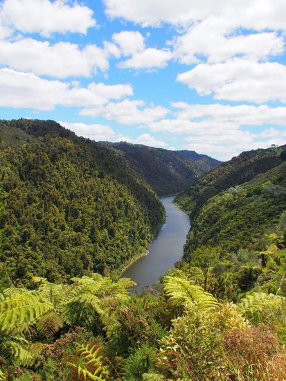 Whanganui Nationalpark