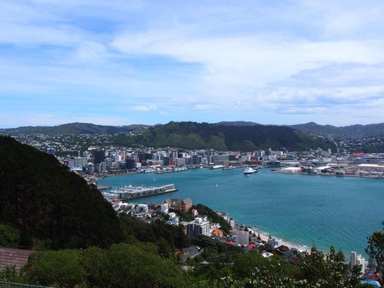 Aussicht auf Wellington