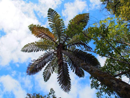 Im Abel Tasman Nationalpark