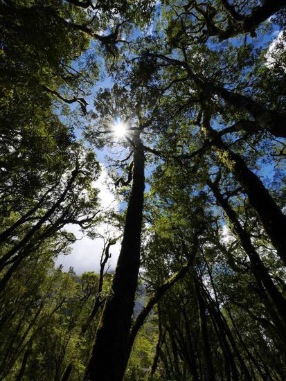Auf dem Rückweg vom Milford Sound