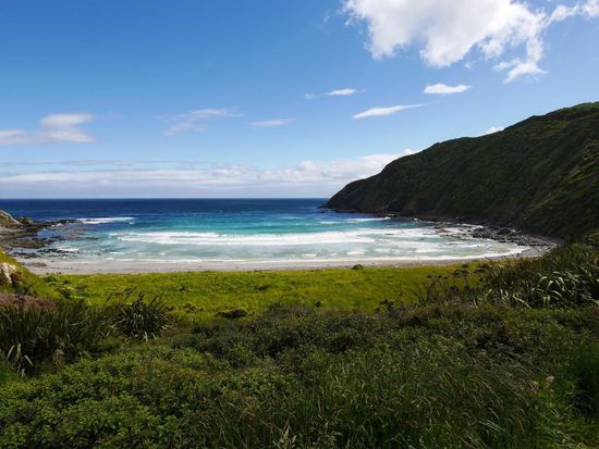 Strand beim Nugget Point
