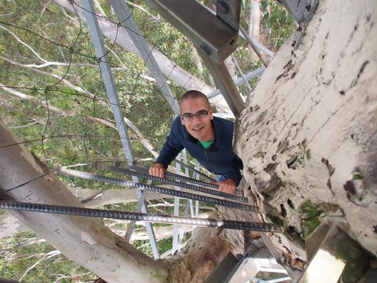 Abstieg vom Gloucester Tree